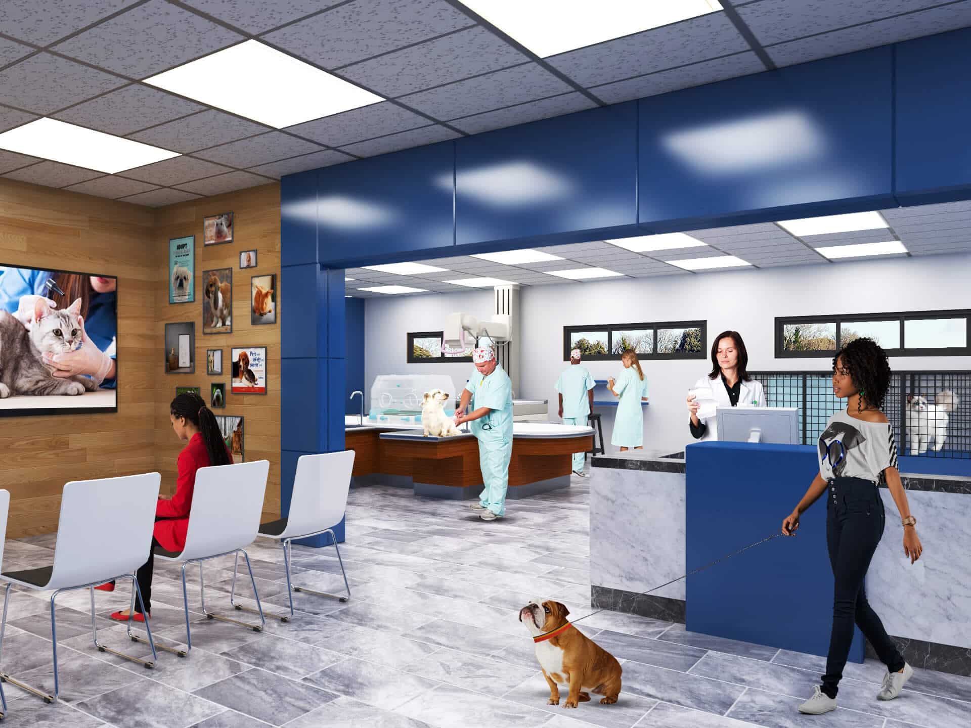 Veterinary Office